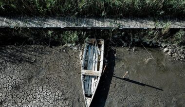 Hungary’s third-largest lake is disappearing. Can experts save it before it’s too late?