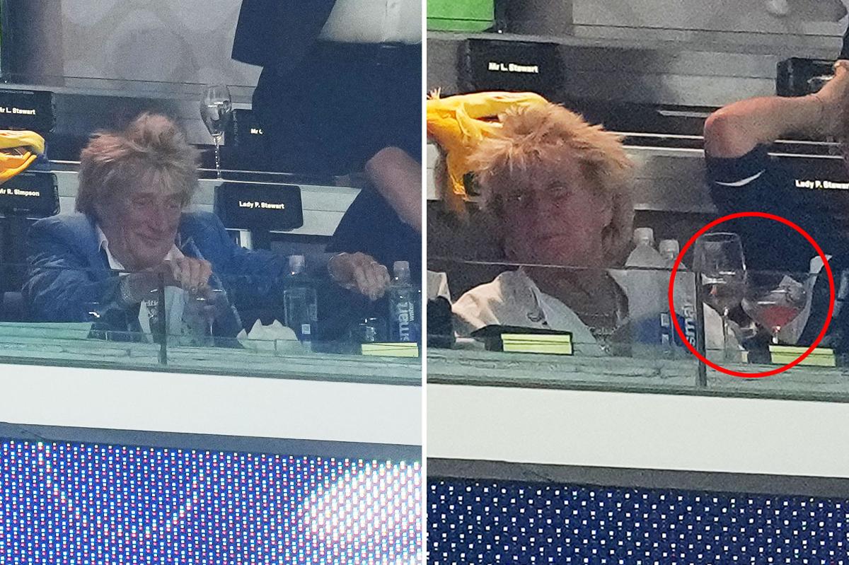 Rod Stewart seen drinking at Scotland game after canceling CA show just 40 minutes before it began