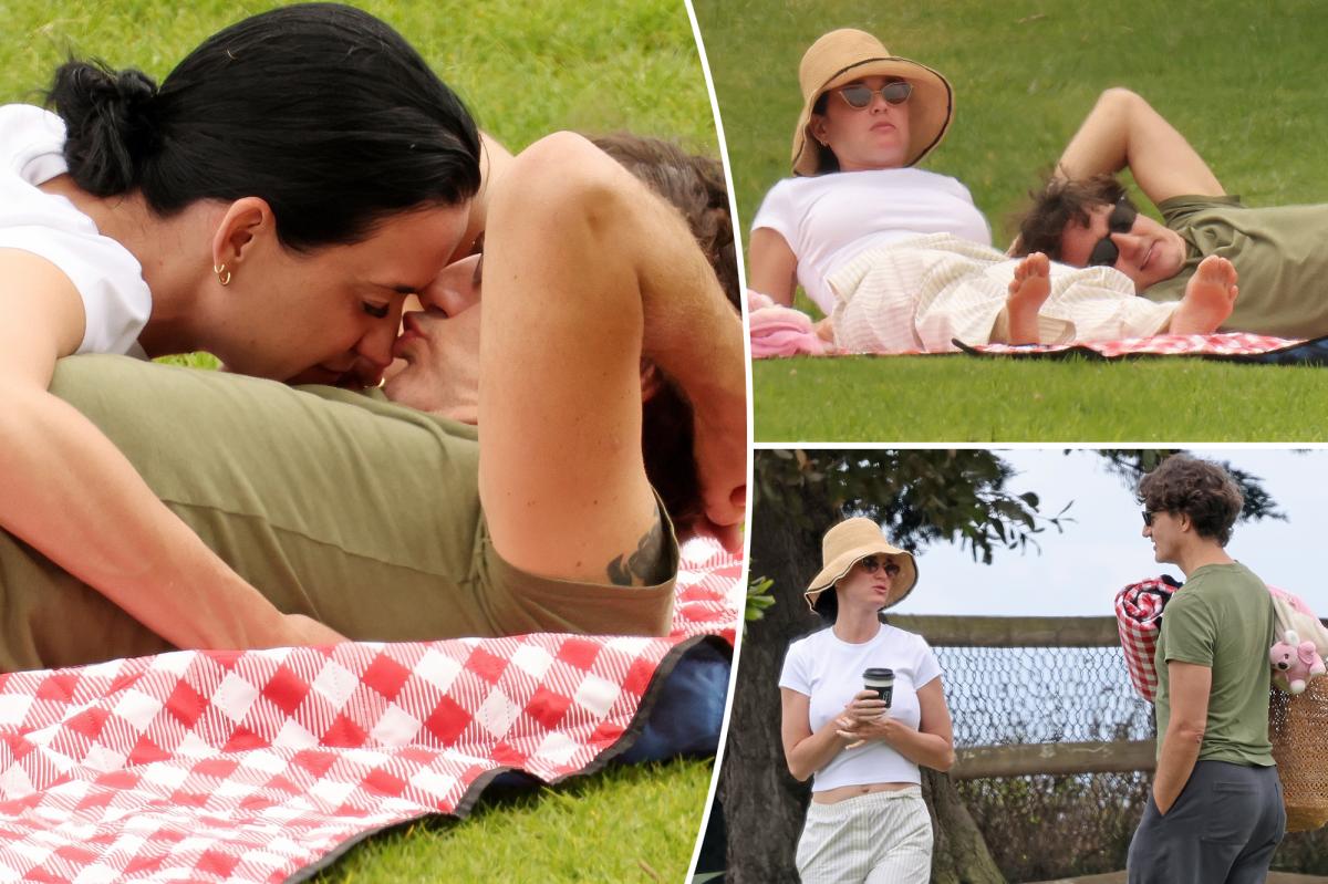 Katy Perry and Justin Trudeau get handsy during intimate picnic date in Santa Barbara