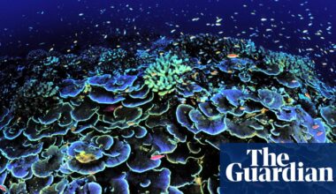 Ping-pong sponges, ‘black smokers’ and floating somethings: the secrets of the deep sea |