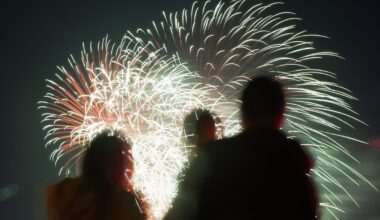 Edmonton eyes city-run Diwali firework display to cut down on illegal fireworks