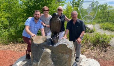 Arts council acting as donation hub for Sudbury Jane Goodall sculpture series
