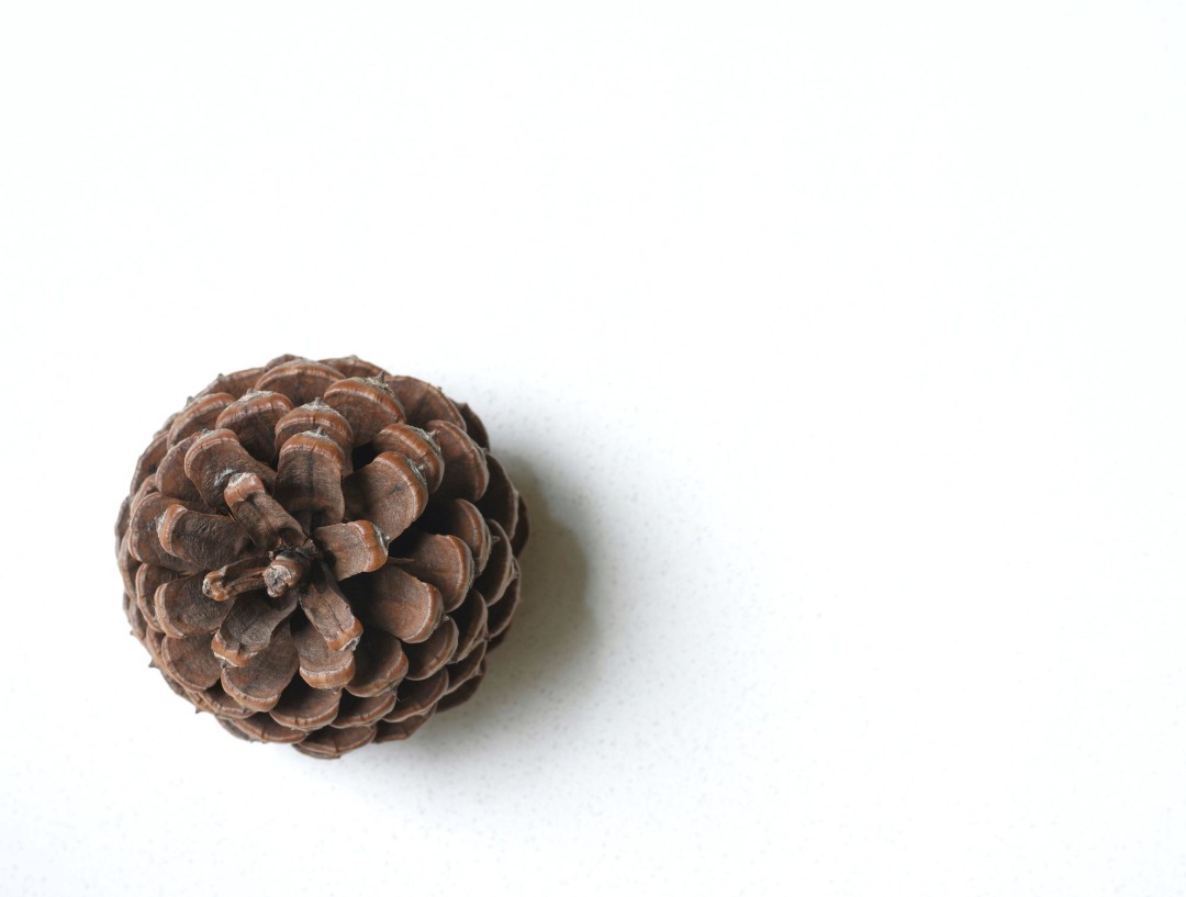 Kid With Pine Cone Puts Hole in Masterpiece