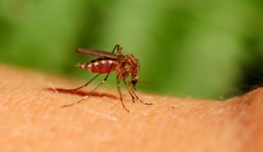 Province urges caution against West Nile virus, Lyme Disease