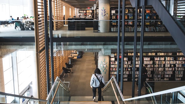 Quebec moves forward with project to improve AI's understanding of Francophone culture