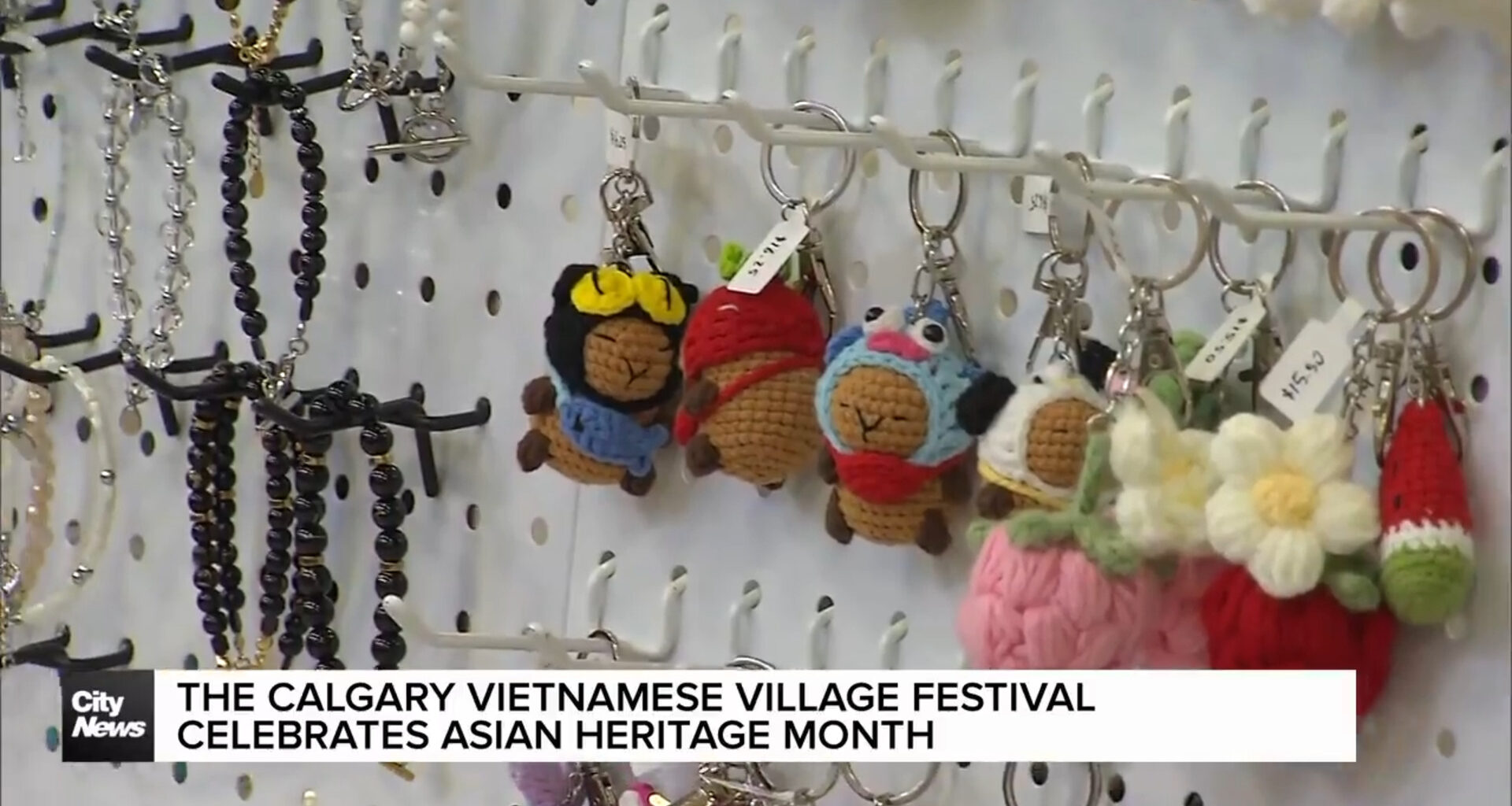 The Calgary Vietnamese Village Festival celebrates Asian Heritage Month