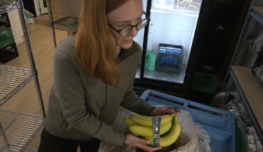 EI needs overhaul to help hungry workers, say Canadian food banks