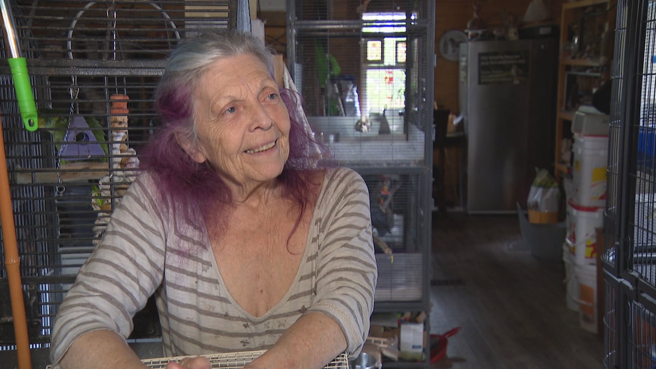 An older woman with purple and grey hair smiling in front of stacked birdcages