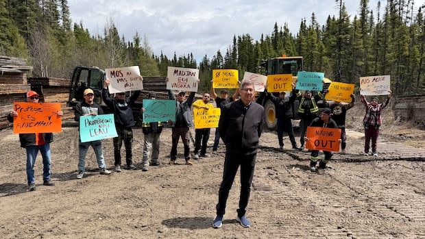 Consultation or 'rubber-stamping'? Proposed gold mine raises questions about Quebec's mining laws