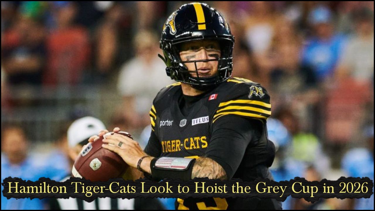 CFL News Hub