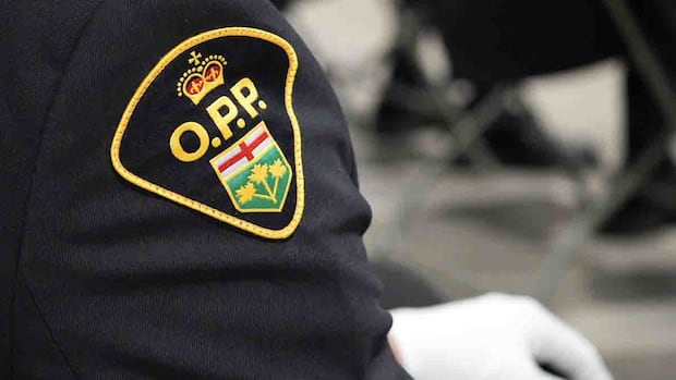 Ottawa-area OPP officer demoted for 3 years for sexually harassing another officer