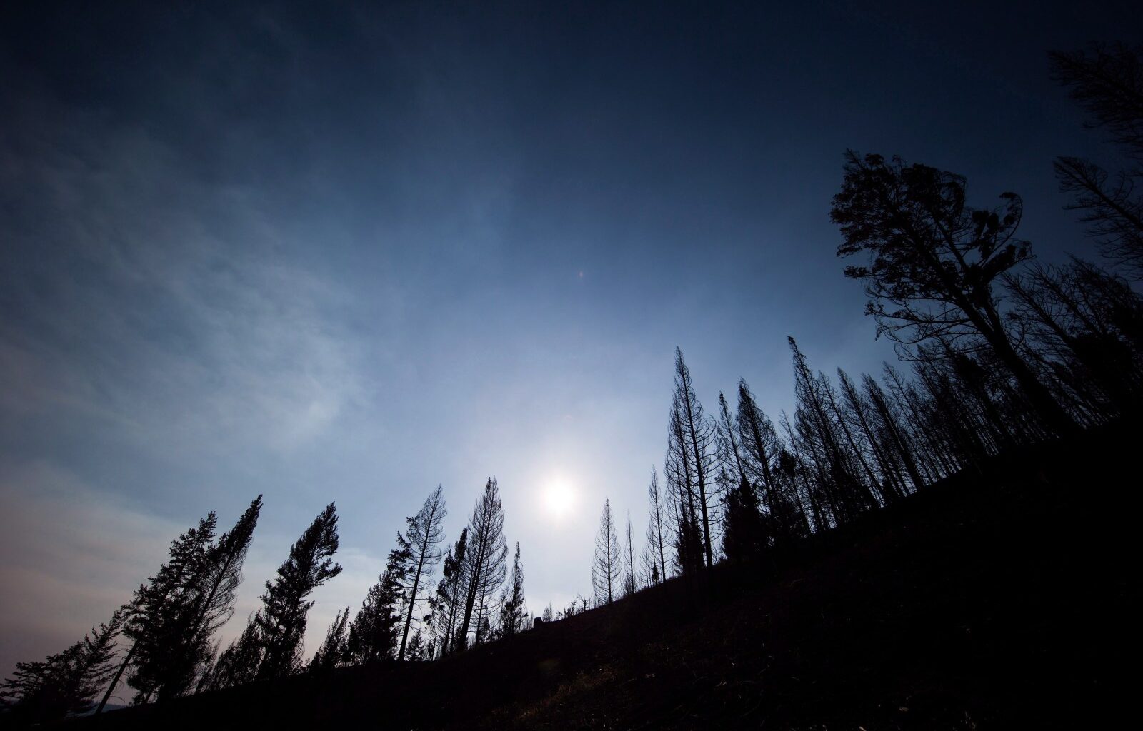 Wildfire in B.C. central Interior prompts evacuation alert – Winnipeg Free Press