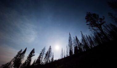 Wildfire in B.C. central Interior prompts evacuation alert – Winnipeg Free Press
