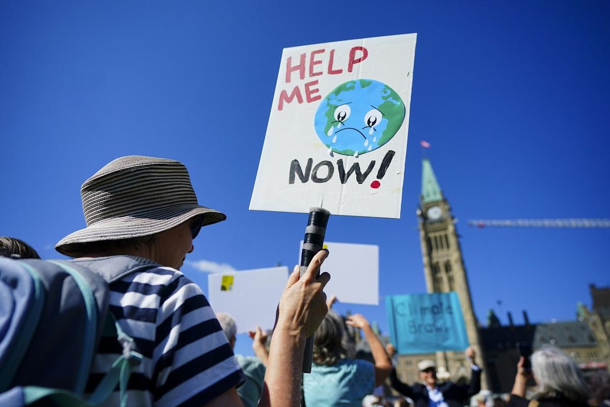 Groups call on Ottawa to reverse course on environmental policy