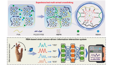 Branched web makes hydrogel sensors tougher for Morse-code interaction