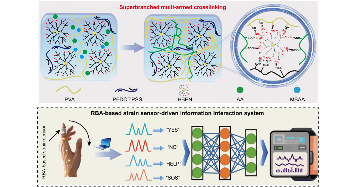 Branched web makes hydrogel sensors tougher for Morse-code interaction