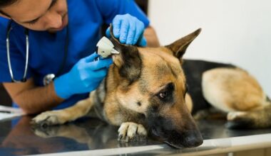 Alberta court upholds sanctions against veterinarian with history of complaints