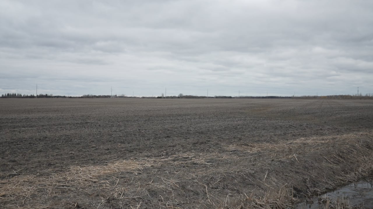 A farm field in spring