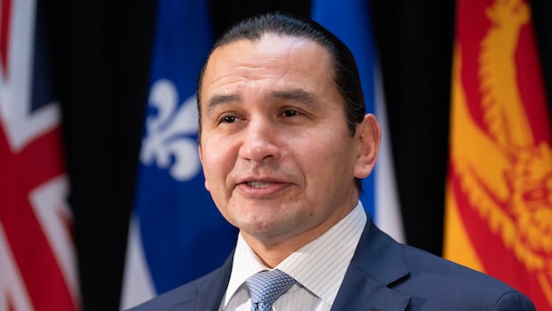 Manitoba won't approve massive AI data centre proposed for south of Winnipeg: Kinew