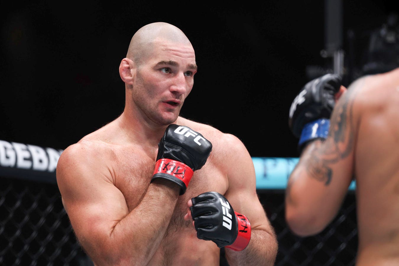 UFC Fighters Sean Strickland And Bryce Mitchell Slam White House Fight