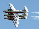 The Snowbirds