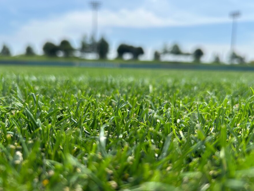 The Bermuda-ryegrass blend at Rock Chalk Park receives 13,000 to 14,000 gallons of water a day and is mowed twice a day, cut to 5/8th of an inch – about the diameter of a standard glass marble.