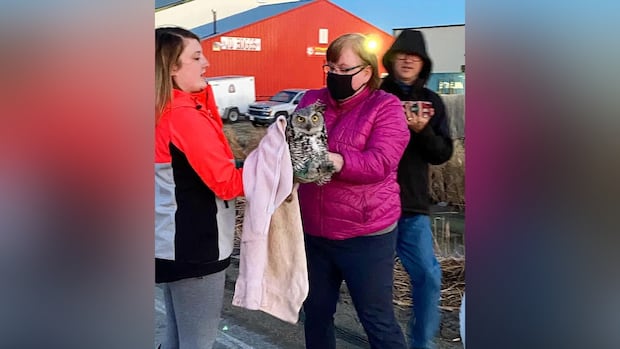 Winnipeg-area wildlife rescue to close after nearly 2 decades rehabilitating animals