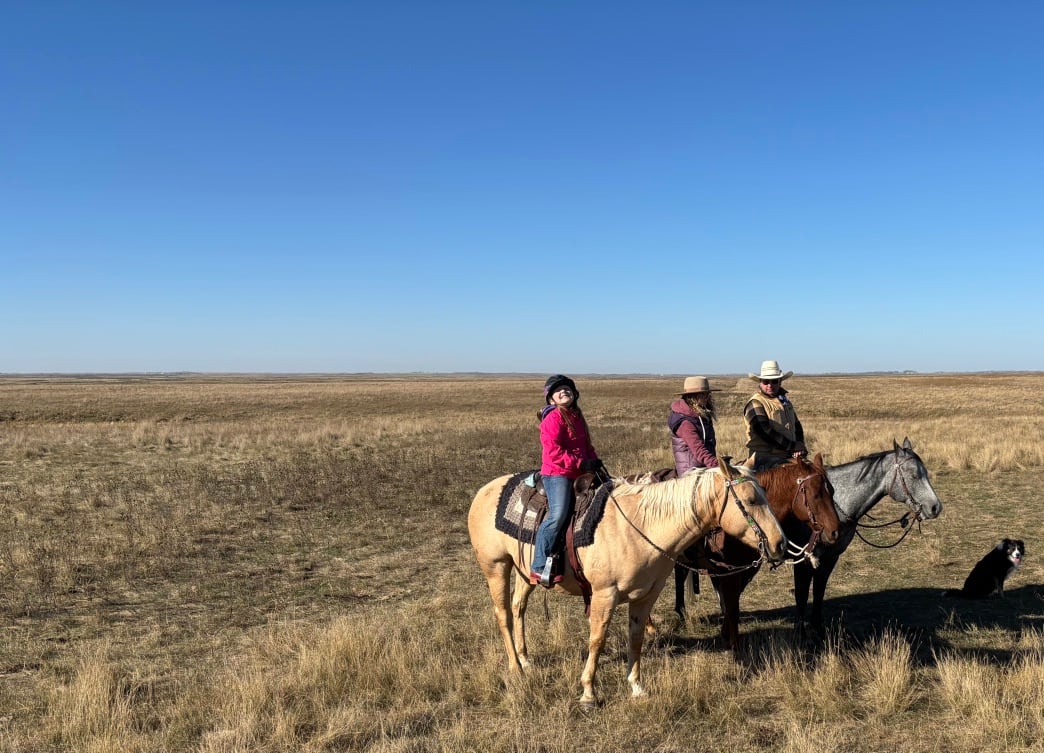 A picture of a family horseback riding in an open field.