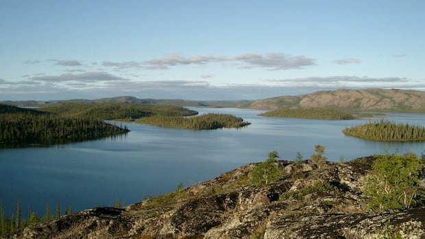 Climate change affecting algae in N.W.T.'s Great Bear Lake, study says