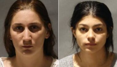 Toronto distraction theft suspects arrested: police