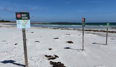 Parks Canada reminds public to respect N.S. beach closures for piping plovers