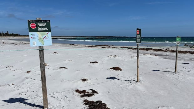Parks Canada reminds public to respect N.S. beach closures for piping plovers