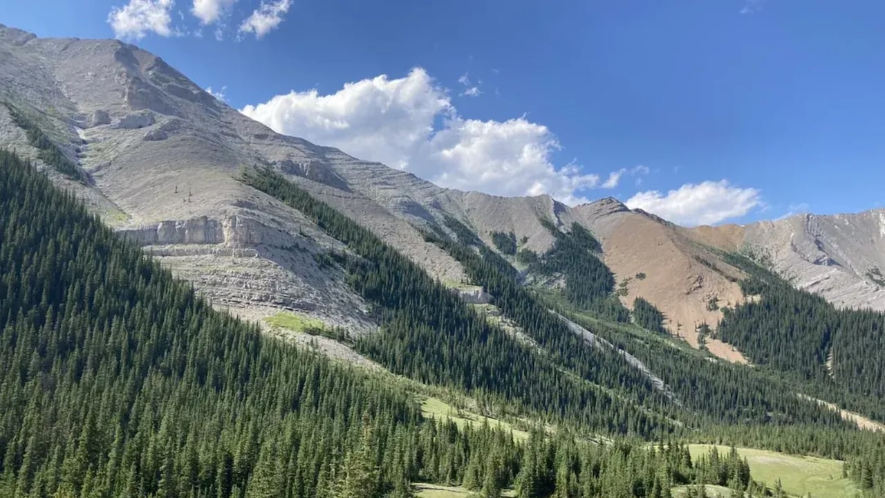 A large mountain with many pines around the base.