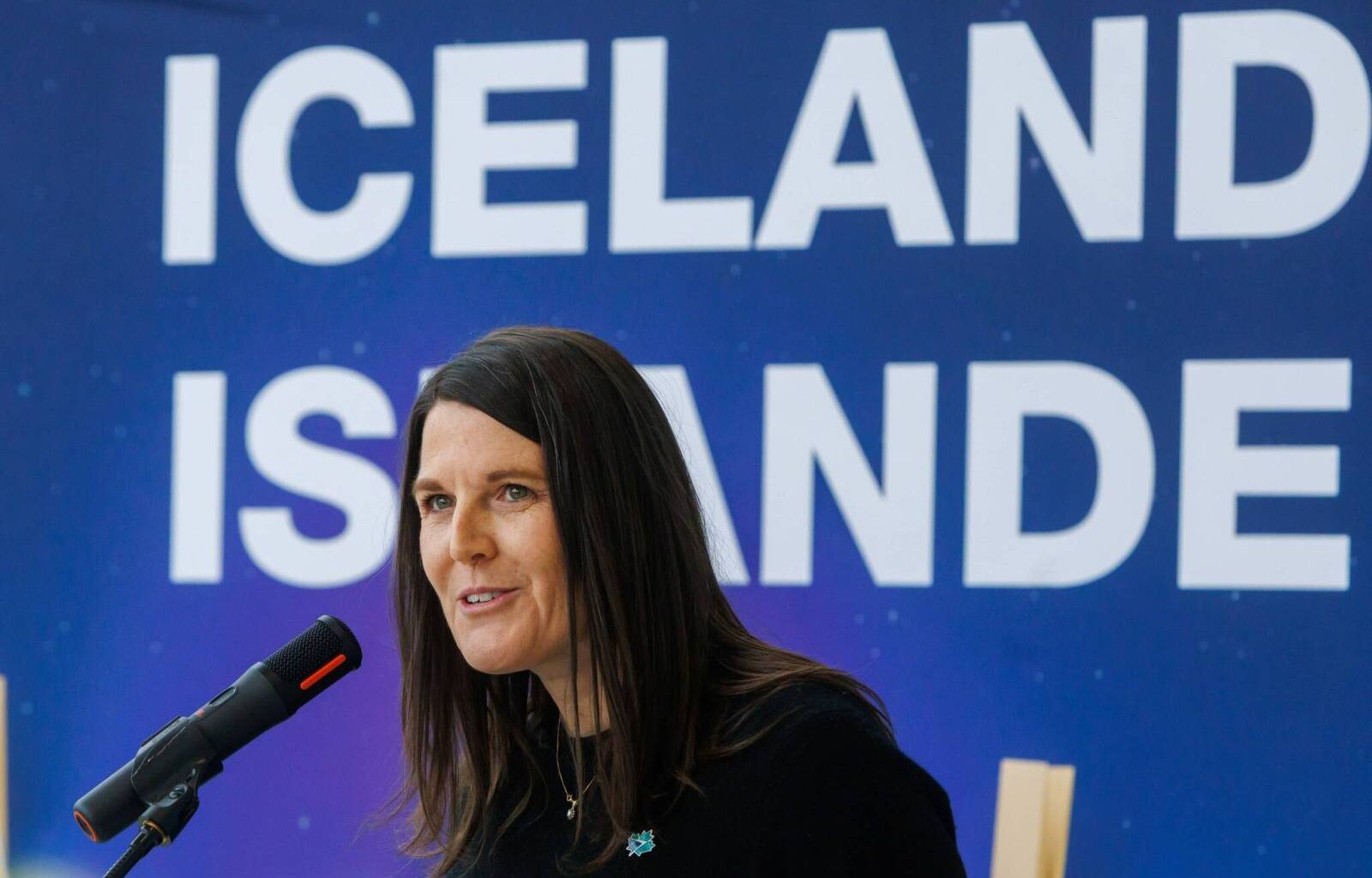 WestJet codeshare deal with Icelandair to offer easier access to Europe – Winnipeg Free Press