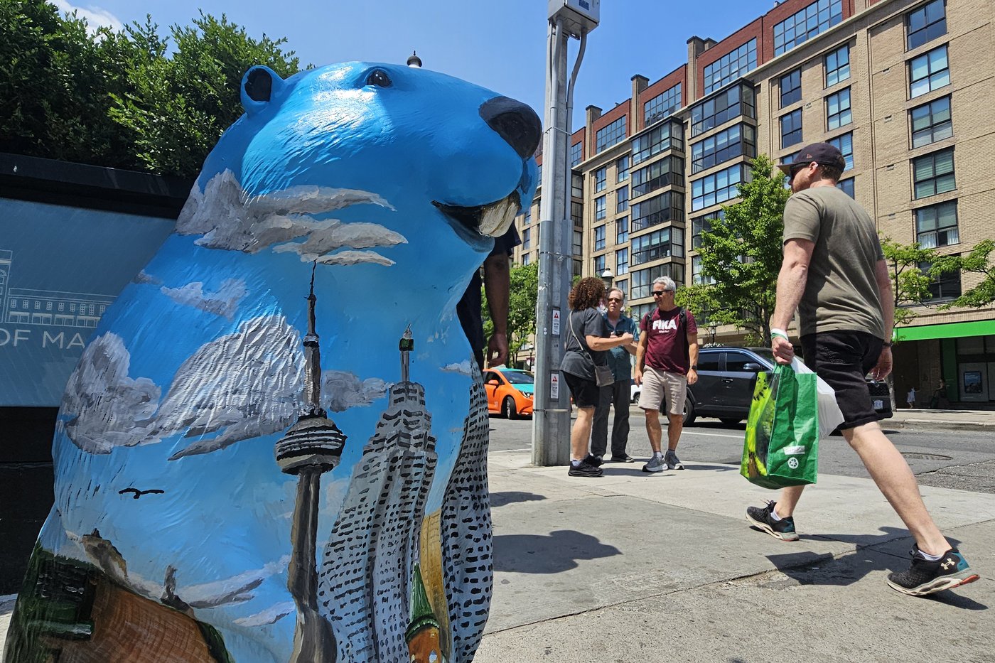 Beaver sculptures welcome tourists in downtown Toronto ahead of World Cup | NanaimoNewsNOW