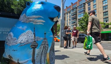 Beaver statues are taking over downtown Toronto for the World Cup