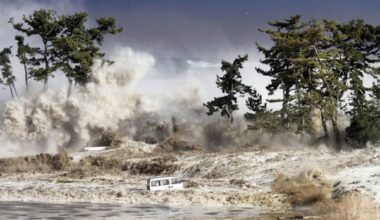 Tofino, B.C., tsunami study points to hundreds dead, $1B in losses