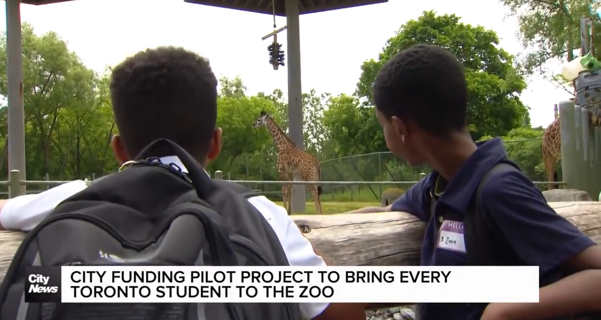 City to fund school fields trips for every student in Toronto school boards