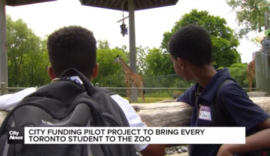 City to fund school fields trips for every student in Toronto school boards