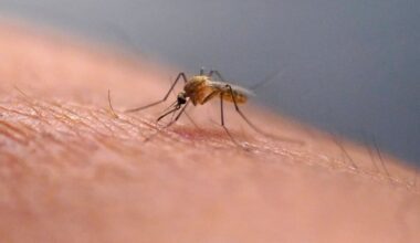 West Nile virus in Canada: What are the symptoms