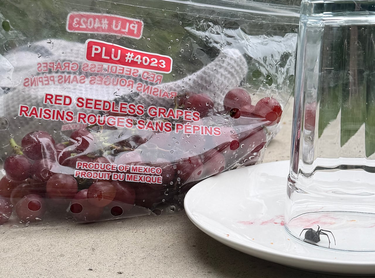 A bag of grapes next to a spider.