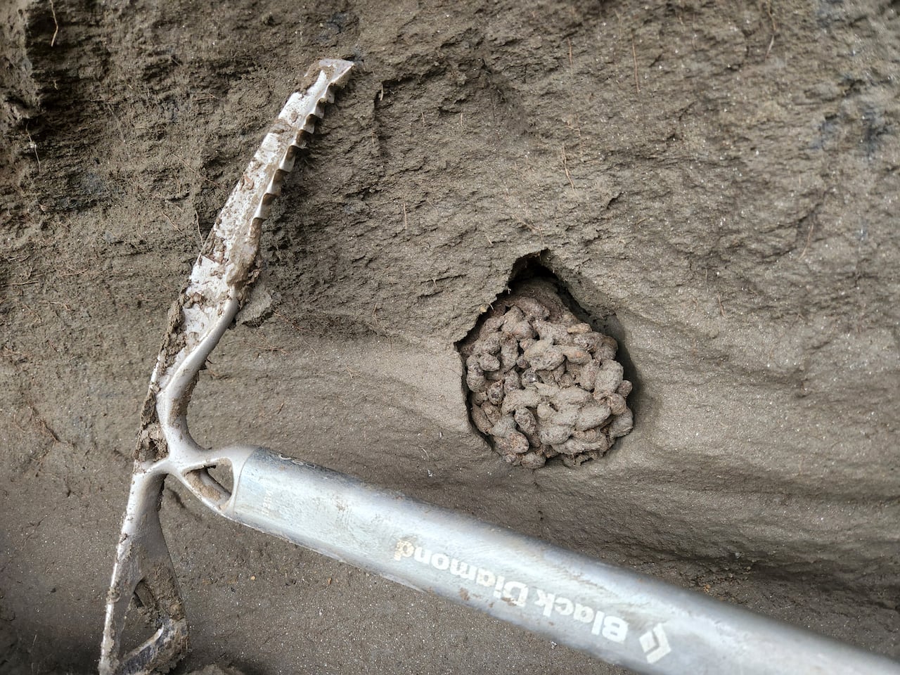 A pocket of poop in a cliff