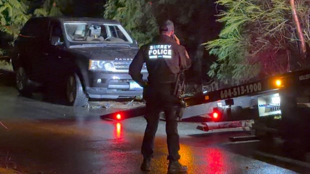 Trio pleads guilty, sentenced in extortion-related Surrey shooting