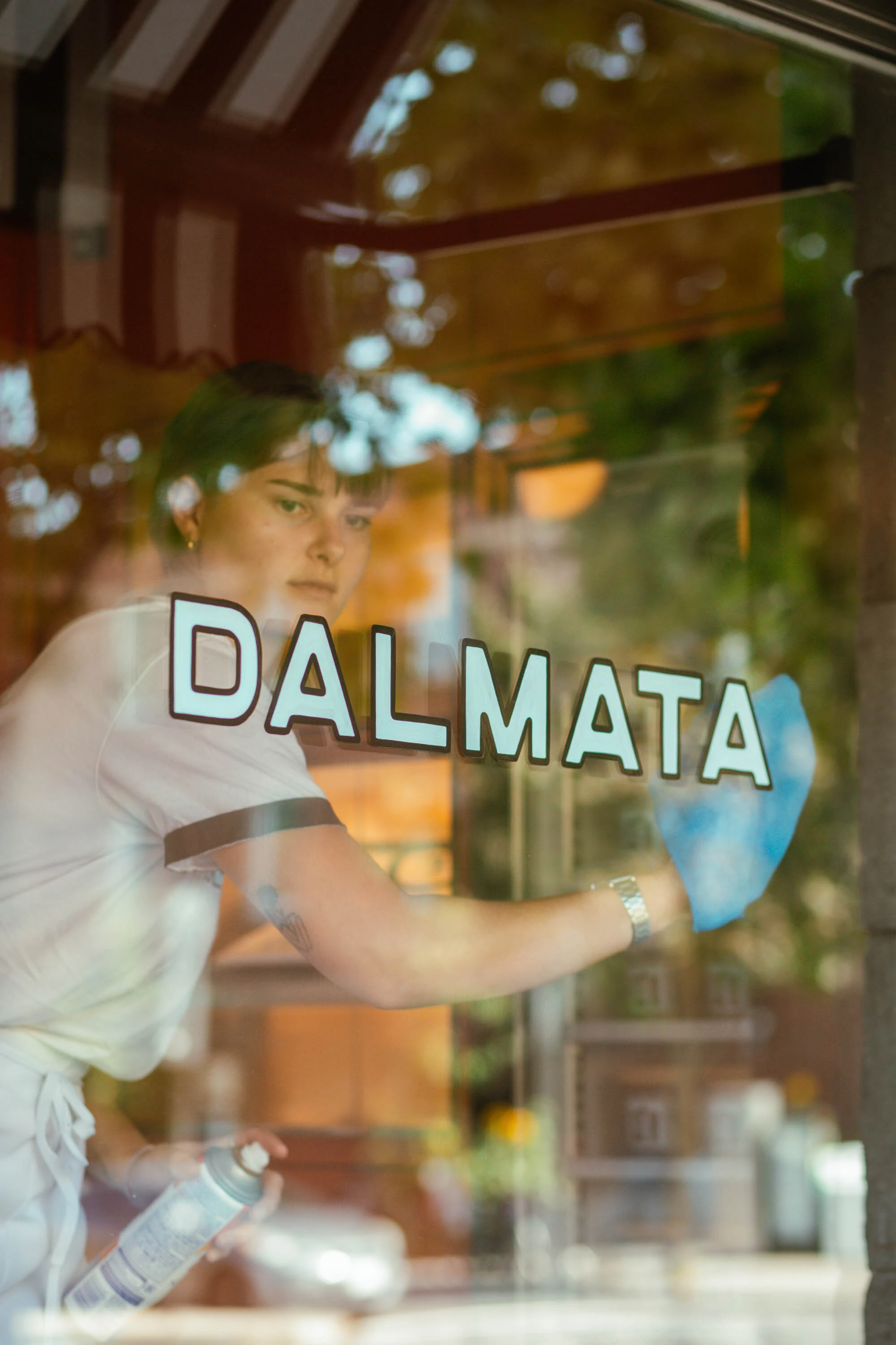 Dalmata