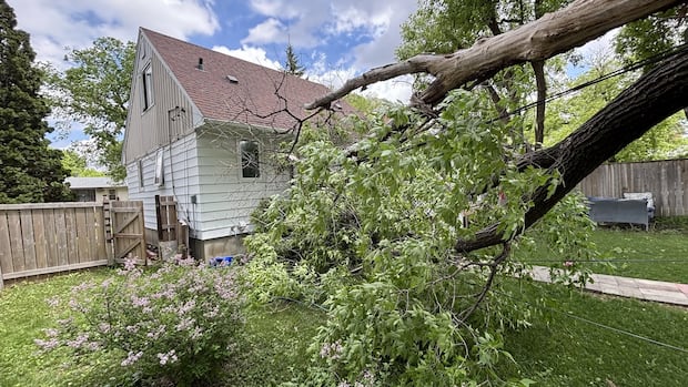 Power outage rolls into 2nd night for some as Manitoba Hydro continues restoring electricity