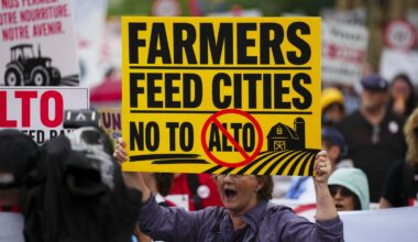 ‘Can you imagine the stress?’: Protest against high-speed rail project hits Ottawa
