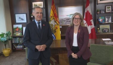 Holt drops promise of stricter carbon price for big polluters