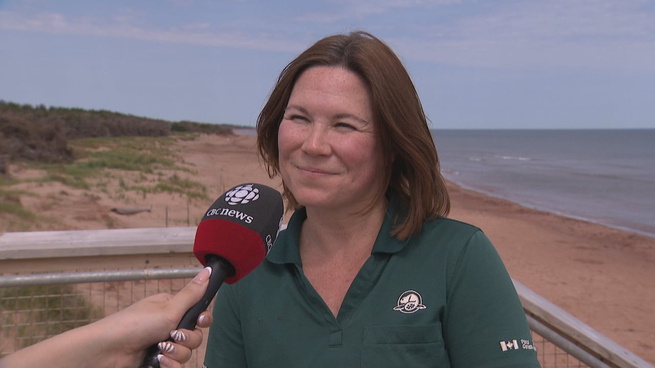 A person standing in front of a beach wearing a green shirt.