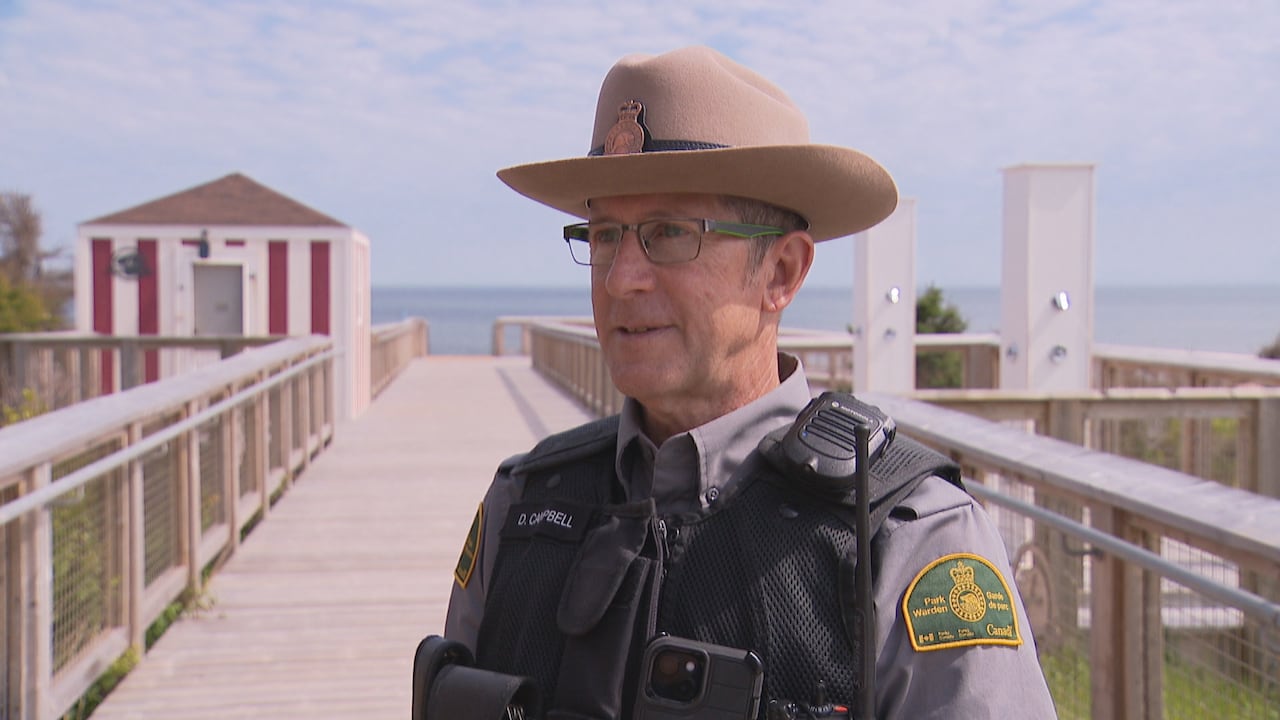 A person waring a hat, green shirt and black vest.