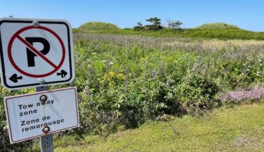 Parks Canada campaign looks to ease parking woes in P.E.I. National Park this summer